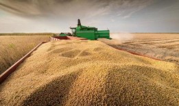 来个在线观看的,揭秘热门在线观看平台背后的精彩故事